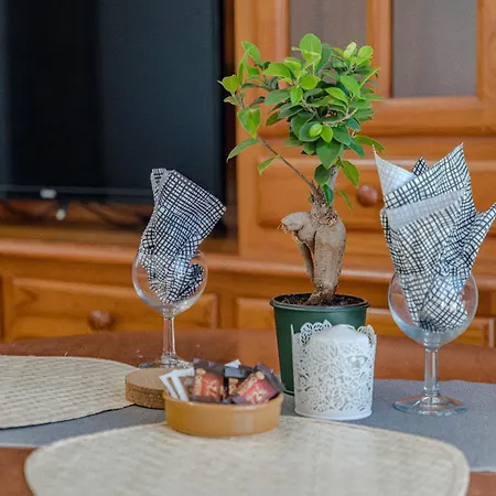 Sea View Paradise Palms Apartment Arico